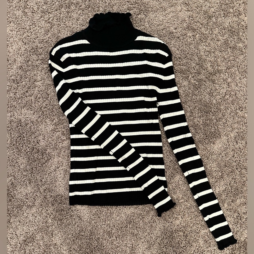 Zara Knit top